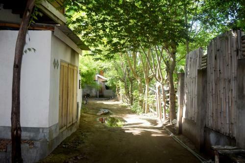 Hostal Panda Hostel