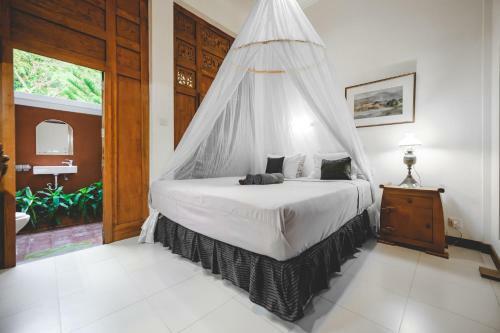 Hostal The Studio