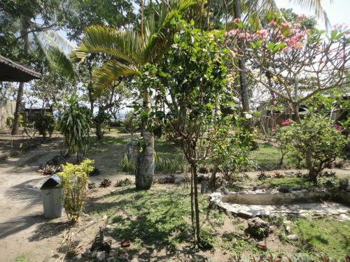 Hotel Pakuna Beach