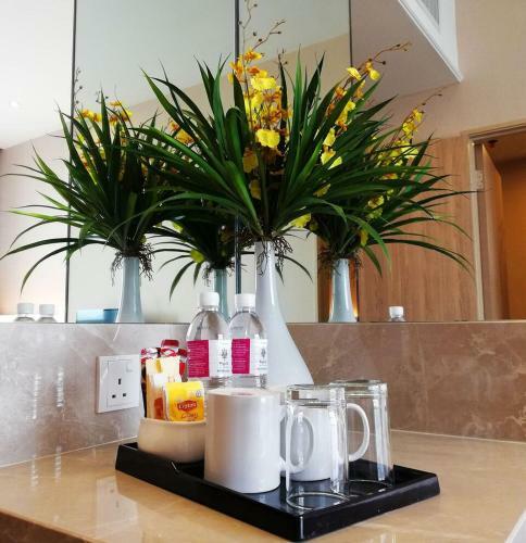 Apartamentos Regalia Suites