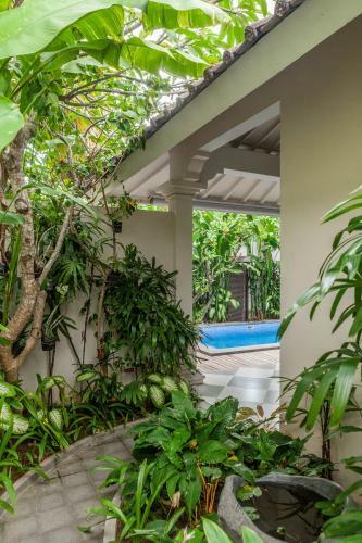 Villa Seni