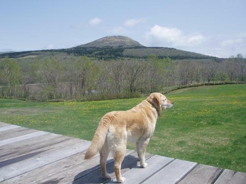 Bed & Breakfast Yado Hanafurari
