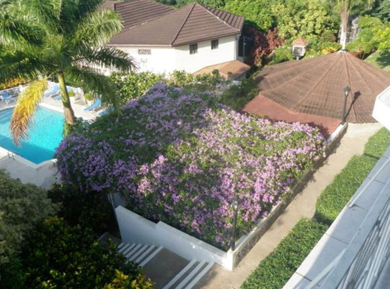 Hotel Relax Resort