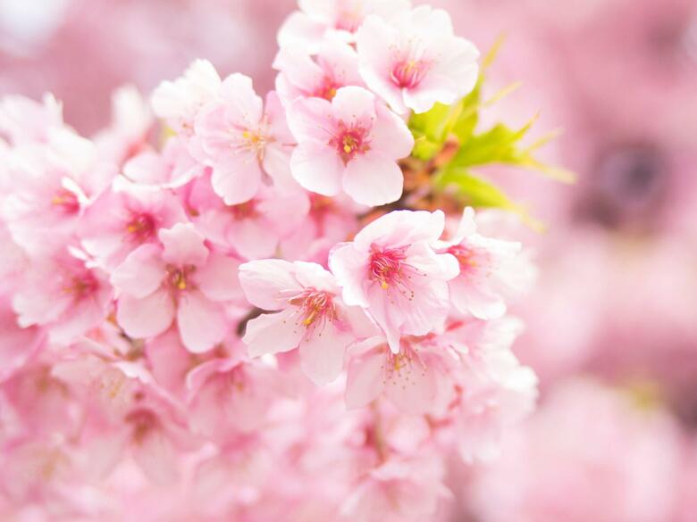 Apa Hotel Kanda Jimbocho Ekihigashi