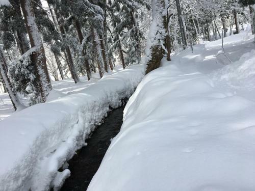 Lodge Hakuba Cottage Gram