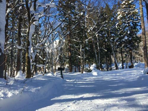 Lodge Hakuba Cottage Gram