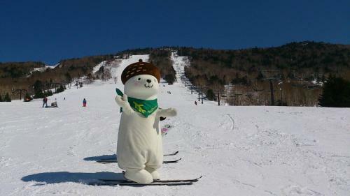 Shiga Kogen Olympic Hotel