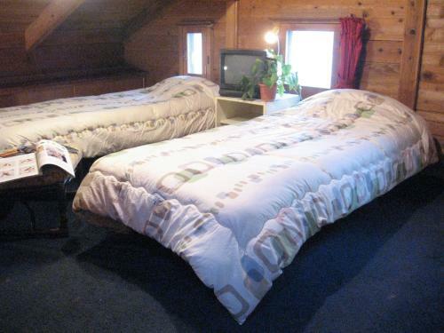 Bed & Breakfast Pension Blue