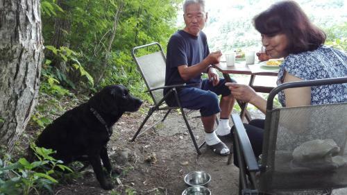 Bed & Breakfast Pension Blue