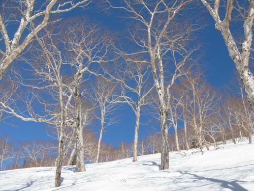 Posada Resort Project Myoko Kogen