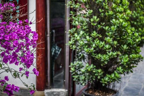 Le Cheng Hotel