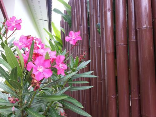 Hotel Bangtao Varee Beach