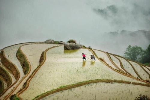 Posada Longji Terrace Inn