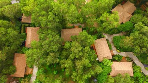 Phuket Touch Green Apartel