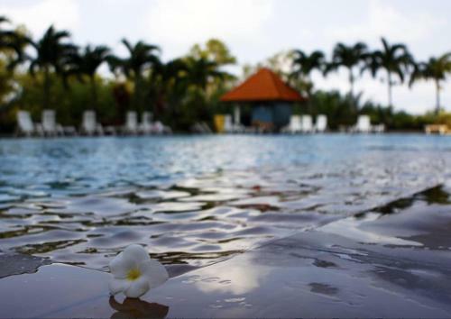Apartamento Beach Road Luxury Studio