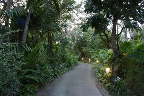 Hotel Palm Village
