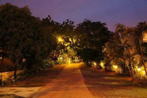 Hotel Palm Village