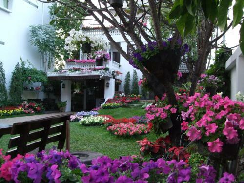 Hostal Rachamankha Flora House
