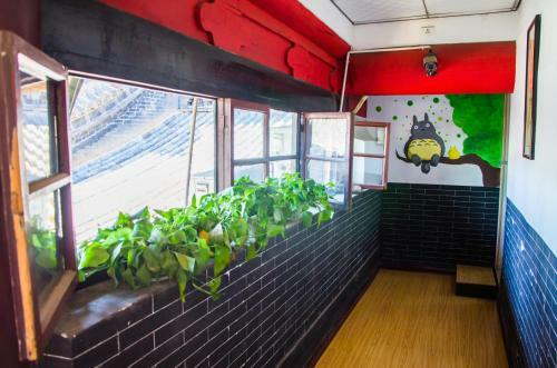 Pingyao Agam International Youth Hostel