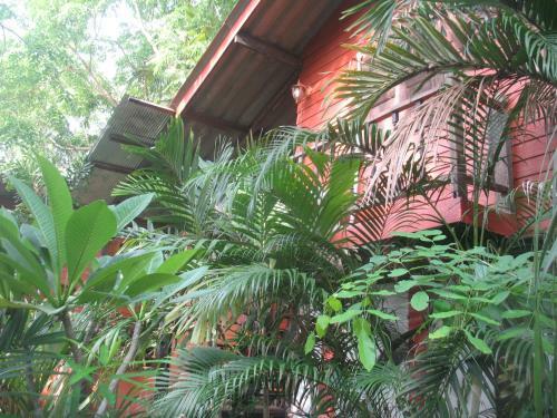 Agroturismo Teak House Chiang Mai