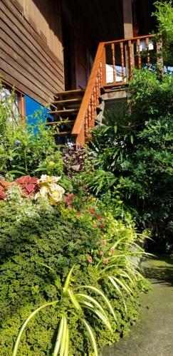 Albergue Shakara Garden