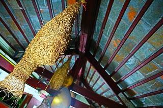 Bed & Breakfast The Nest Chiangmai