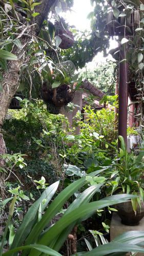 Hostal Baan Songjum