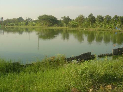 Hotel Qg Resort