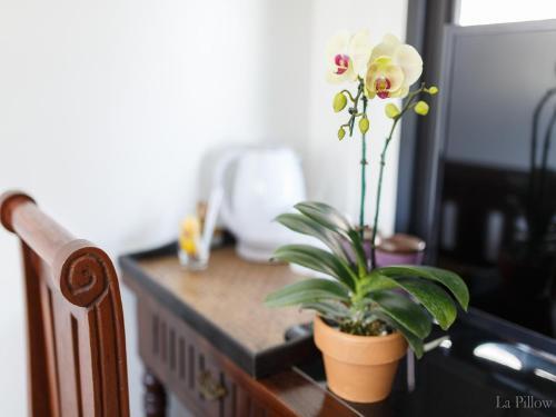 Hostal La Pillow 8