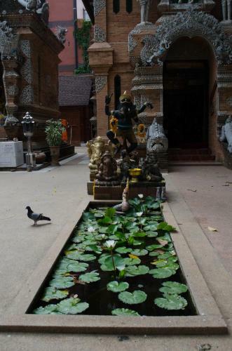 Chiangmai Shunlin Hostel