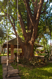 Woodlands Hotel And Resort