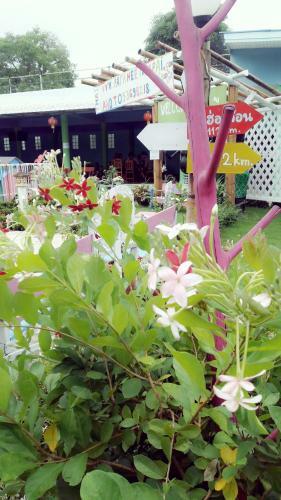 Hotel Paramee Inn Pai