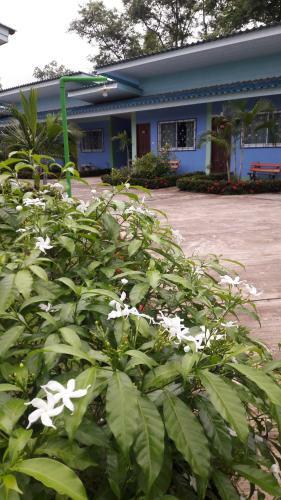 Hotel Paramee Inn Pai