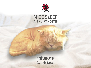 Ai Phuket Hostel & Cafe