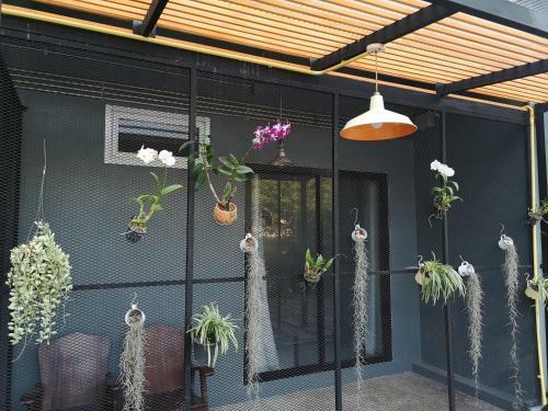 Hostal Siri Guesthouse @ Surat Thani