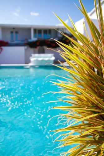Trade Winds Hotel