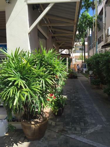 Hostal Gold Shop Room For Rent