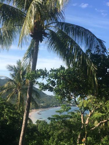 Bed & Breakfast La Cigale