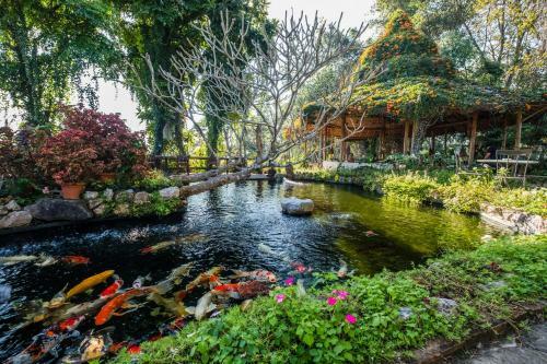 Hotel Phu Chaisai Mountain Resort & Spa