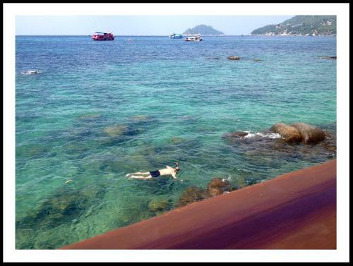 Hostal Dd Hut Koh Tao