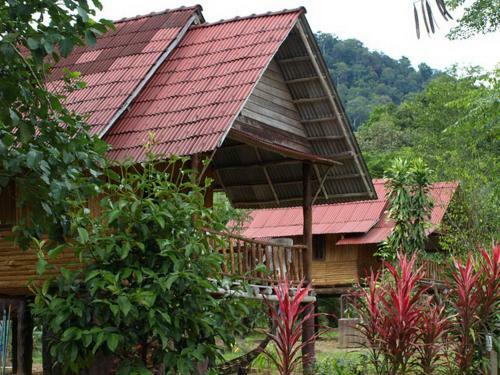 Hotel Khao Sok Palmview Resort