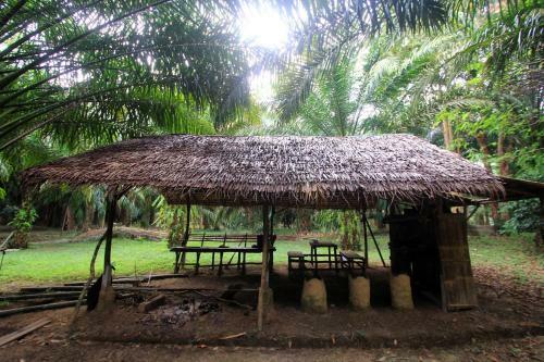 Hotel Khao Sok Palmview Resort