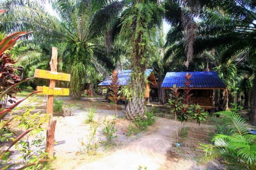 Hotel Khao Sok Palmview Resort