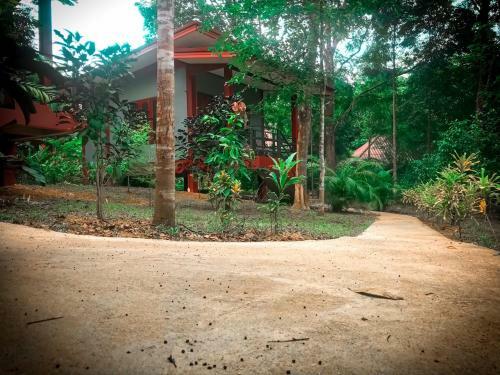 Hotel Khao Sok Garden Resort