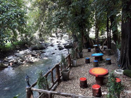 Hotel Tree Tops River Huts