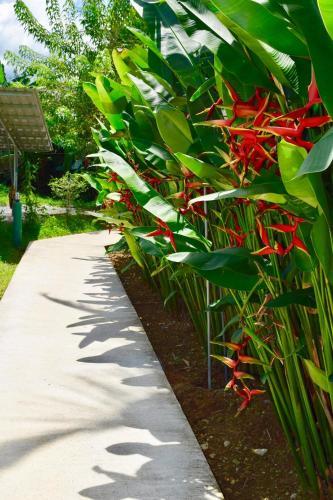 The Royal Bamboo Lodge