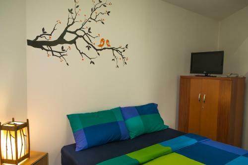 Hostal Rainforest Guest House