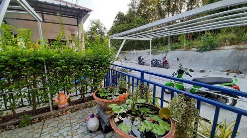 Hostal Runa Runa The Best Guesthouse