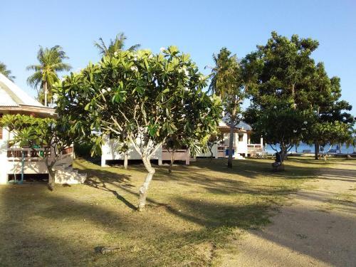 Hotel Jinta Beach Samui