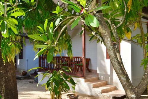 Hotel Magic Resort